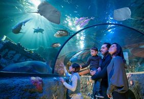 Gardaland SEA LIFE Aquarium: Входной билет