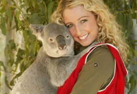 Райская страна: входной билет + завтрак с коалой