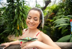 Австралийский заповедник бабочек: Входной билет