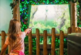 MagiQuest: Общий комбинированный билет