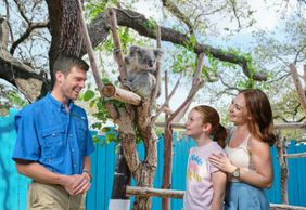 Зоопарк Тампы: комбинированный билет в зоопарк Тампы и аквариум Флориды