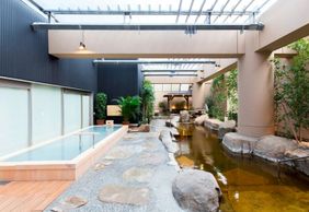 Посещение Spa LaQua и билет на метро в Токио (24 часа)