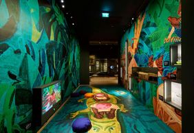 Всемирный музей Роттердама: Входной билет