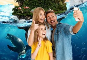 Selwo Marina: Входной билет