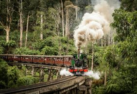 Puffing Billy Steam Train: Belgrave to Gembrook Return Ticket