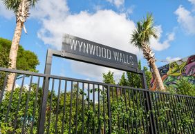 Стены Wynwood: общий билет + сеанс покраски аэрозолем