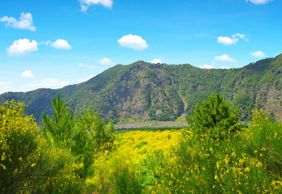 Гора Везувий: Билет с входом без очереди + Поездка туда и обратно из Неаполя