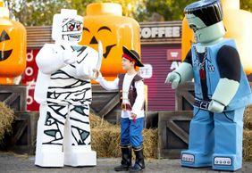 LEGOLAND Discovery Centre Канзас-Сити: Входной билет