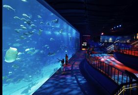 S.E.A. Aquarium™ Сингапур: Входной билет
