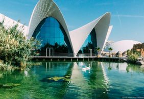 Океанографический центр Валенсии: Входной билет