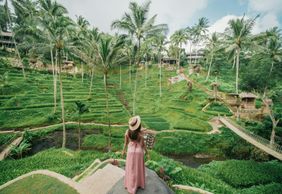 Увы, Харум: входной билет
