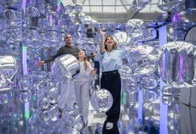 ИКОНО Вена: Входной билет