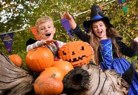 LEGOLAND® Discovery Centre, Вестчестер: Входной билет