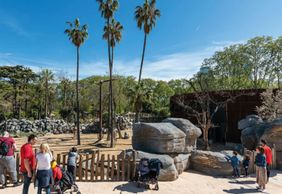 Барселонский зоопарк: Билет с входом без очереди