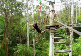 Заповедник Currumbin Wildlife Sanctuary and TreeTop Challenge: комбинированный билет
