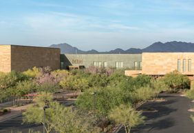 Музей музыкальных инструментов: Входной билет