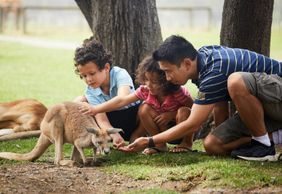 Парк дикой природы Оквейл: Входной билет