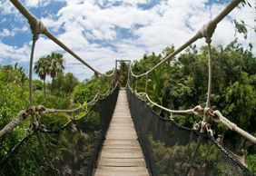 Зоопарк Jungle Park: Входной билет