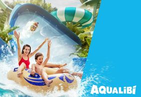 Aqualibi: Входной билет