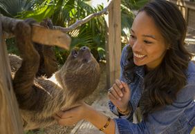 Посещение парка Wild Florida Gator