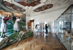 Универсальный музей Joanneum: круглосуточный доступ