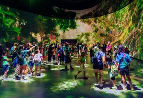 Американский музей естественной истории (AMNH): все выставки по билетам