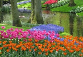 Кёкенхоф: Входной билет