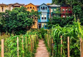 Кузгунджук: аудиогид по самому уютному району Стамбула