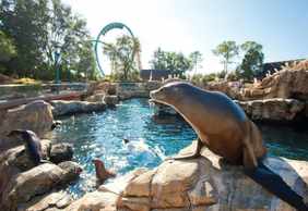 SeaWorld Орландо: входной билет с дополнительной быстрой очередью