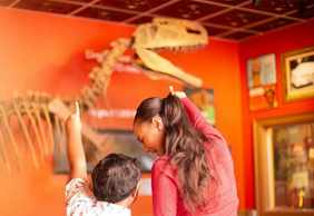 Ripley 's Believe It or Not! Ниагарский водопад: входной билет