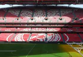 Билет на стадион Estádio da Luz + шарф