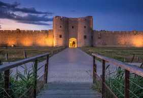 Tours et Remparts d'Aigues-Mortes: Входной билет