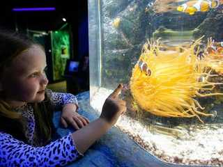 SEA LIFE Грейт-Ярмут: Входной билет