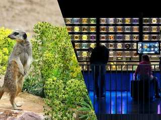 Зоопарк ARTIS Amsterdam Royal Zoo & Micropia: входной билет без очереди