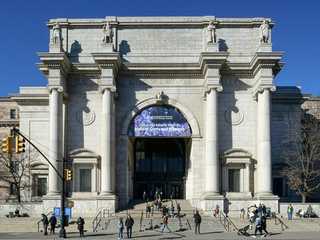 Американский музей естественной истории (AMNH): Плюс один билет