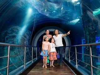 SEA LIFE Мельбурн и LEGOLAND® Discovery Centre - комбинированный билет