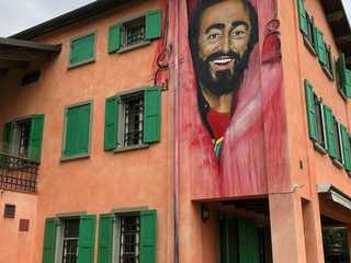 Casa Museo Luciano Pavarotti: Входной билет