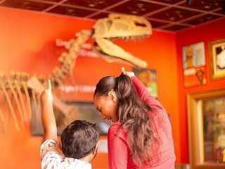 Ripley 's Believe It or Not! Ниагарский водопад: входной билет