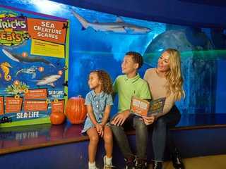 SEA LIFE Aquarium в ресторане American Dream: общий билет