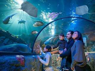 Gardaland SEA LIFE Aquarium: Входной билет