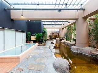 Посещение Spa LaQua и билет на метро в Токио (24 часа)