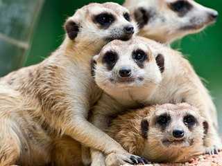 Terra Natura Murcia: Входной билет