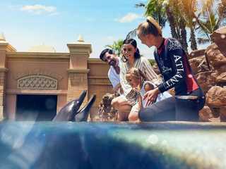 Aquaventure: Входной билет + встреча с дельфинами в деревне Атлас