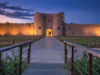 Tours et Remparts d'Aigues-Mortes: Входной билет