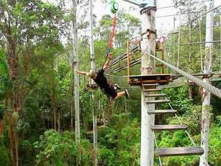 Заповедник Currumbin Wildlife Sanctuary and TreeTop Challenge: комбинированный билет