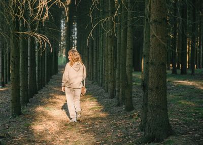 Дендрологический сад им. С.Ф. Харитонова: познавательная прогулка для любителей природы