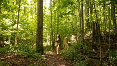 Место силы: тропа Чертово городище - photo 2