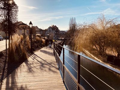 Жемчужина Эльзаса: пешеходная экскурсия по историческим районам Кольмара - photo 2