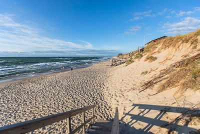 Куршская коса: автопутешествие с аудиогидом по стране гнёзд - photo 2