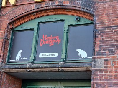 Hamburg's Historic Highlights Tour with Hamburg Dungeon Ticket